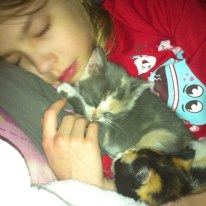 Anna and the kittens