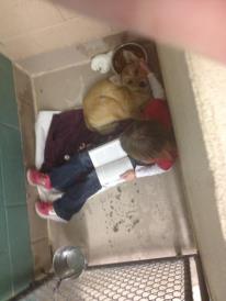 anna reading to Baby girl