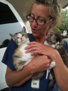 vickie and kittens