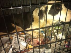 10002716_10201796823063058_989778783_n