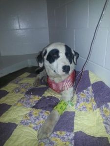 1505682_10201749885692288_127937047_n