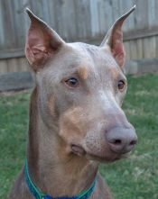 10250107_10201749858974284_6477418353669179195_n