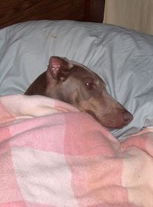 923573_10201822160141768_9031854231235061682_n