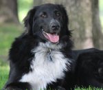 10377910_10202214570906493_1796742915_o