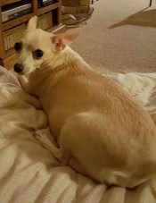 20150823_211348_resized