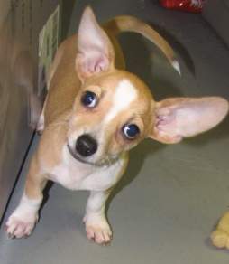 FB_IMG_1442969121256