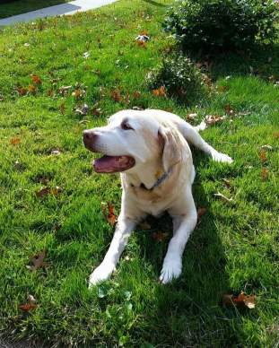 received_1224155004289986